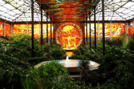 centered image